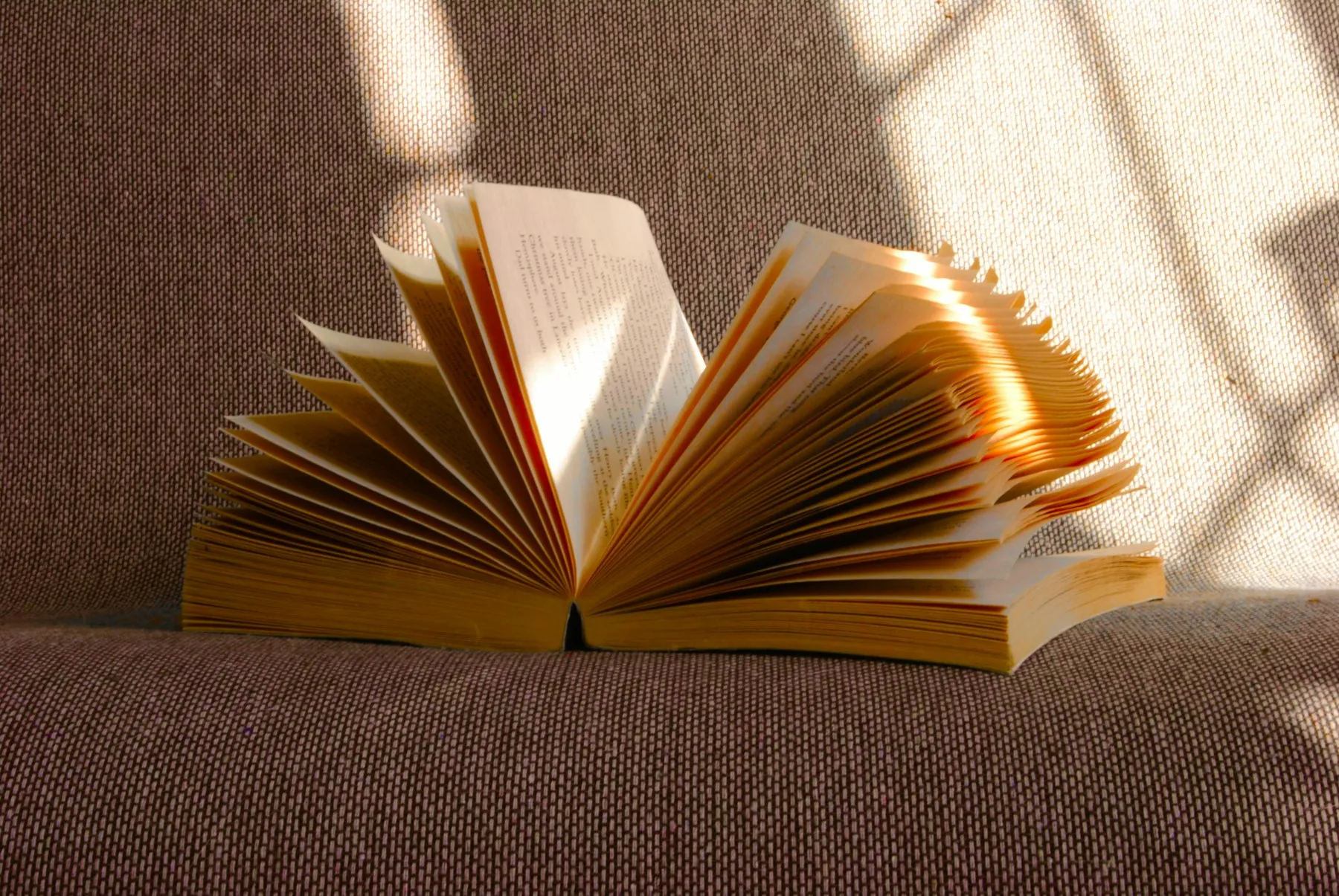 An open book with its pages fanned out in afternoon sunlight